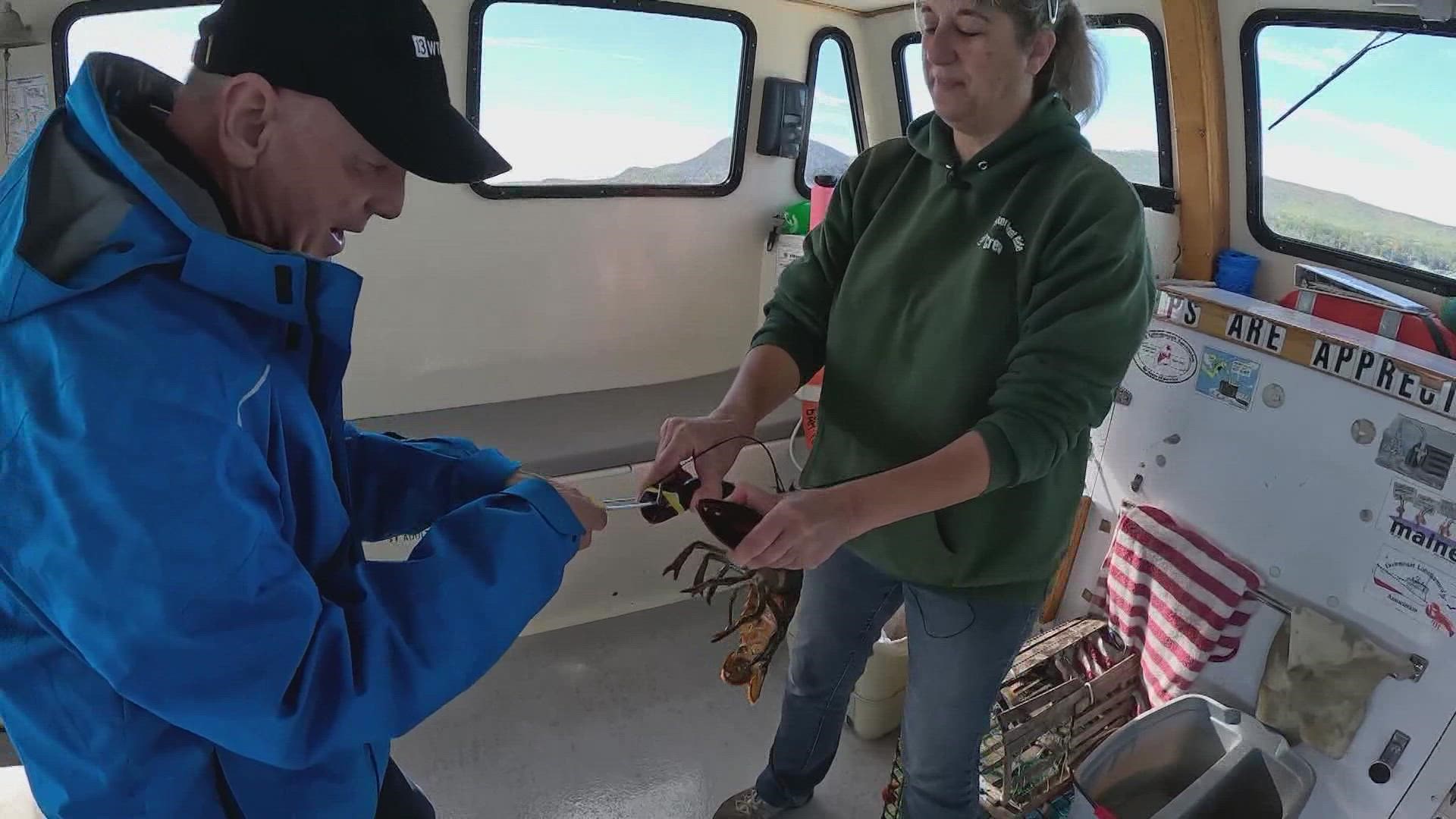 Nothing says Maine quite like lobster, and Chuck had quite the time trying to catch dinner.