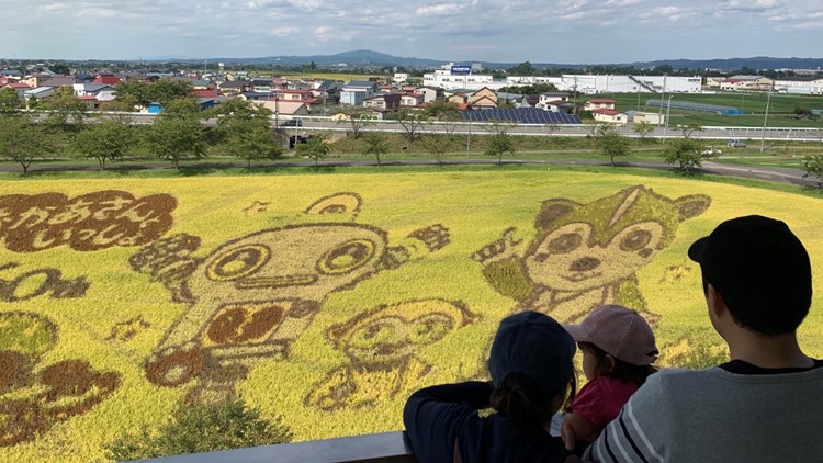 See how Japan's most important crop is also an art canvas