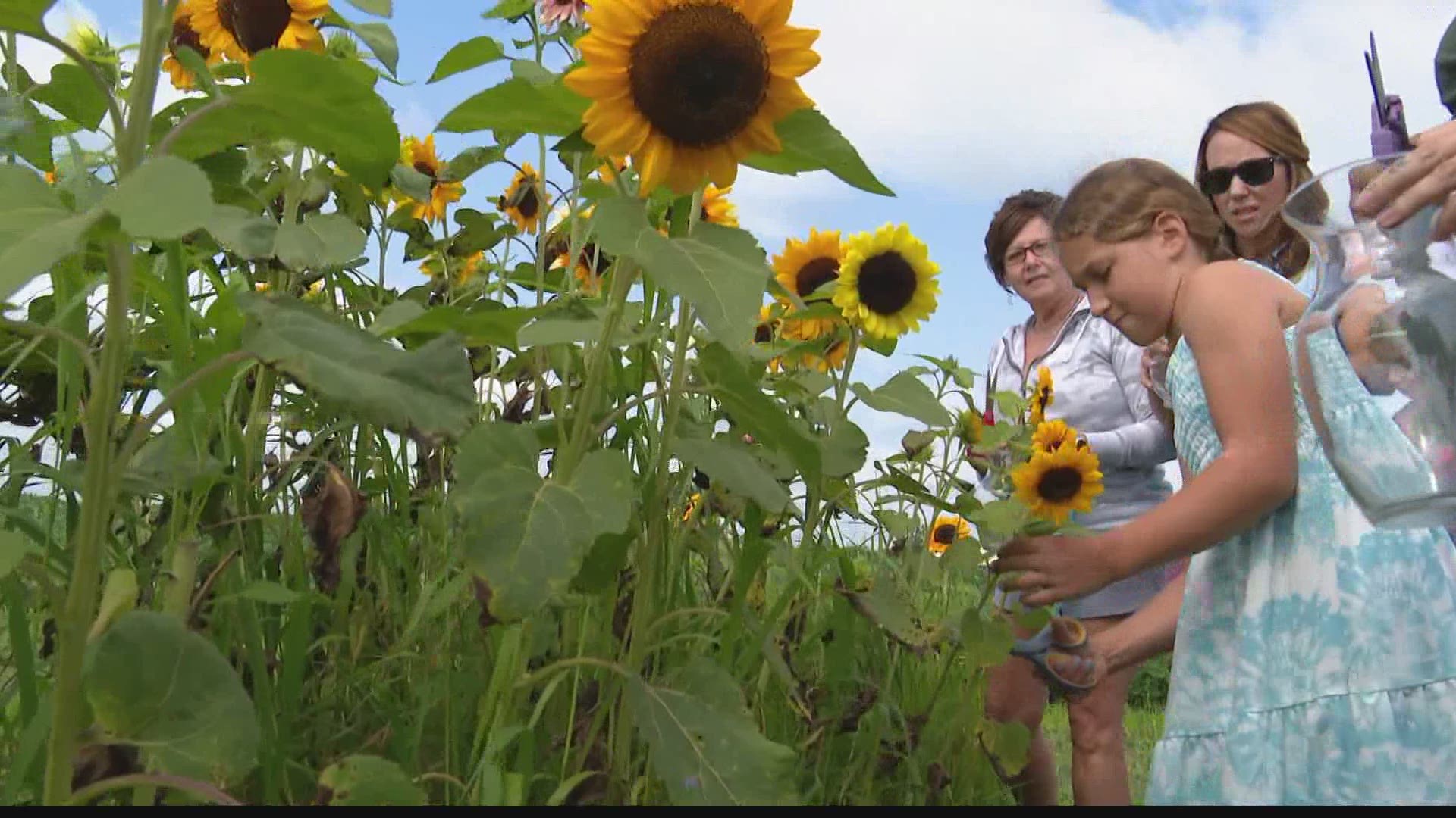This flower-picking experience in Johnson County is like nothing you've seen before.