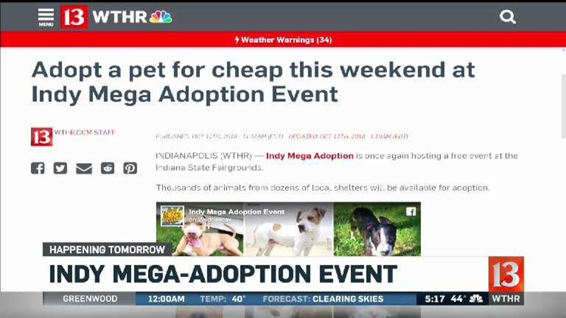 Indy Mega Adoption event starts Saturday at noon