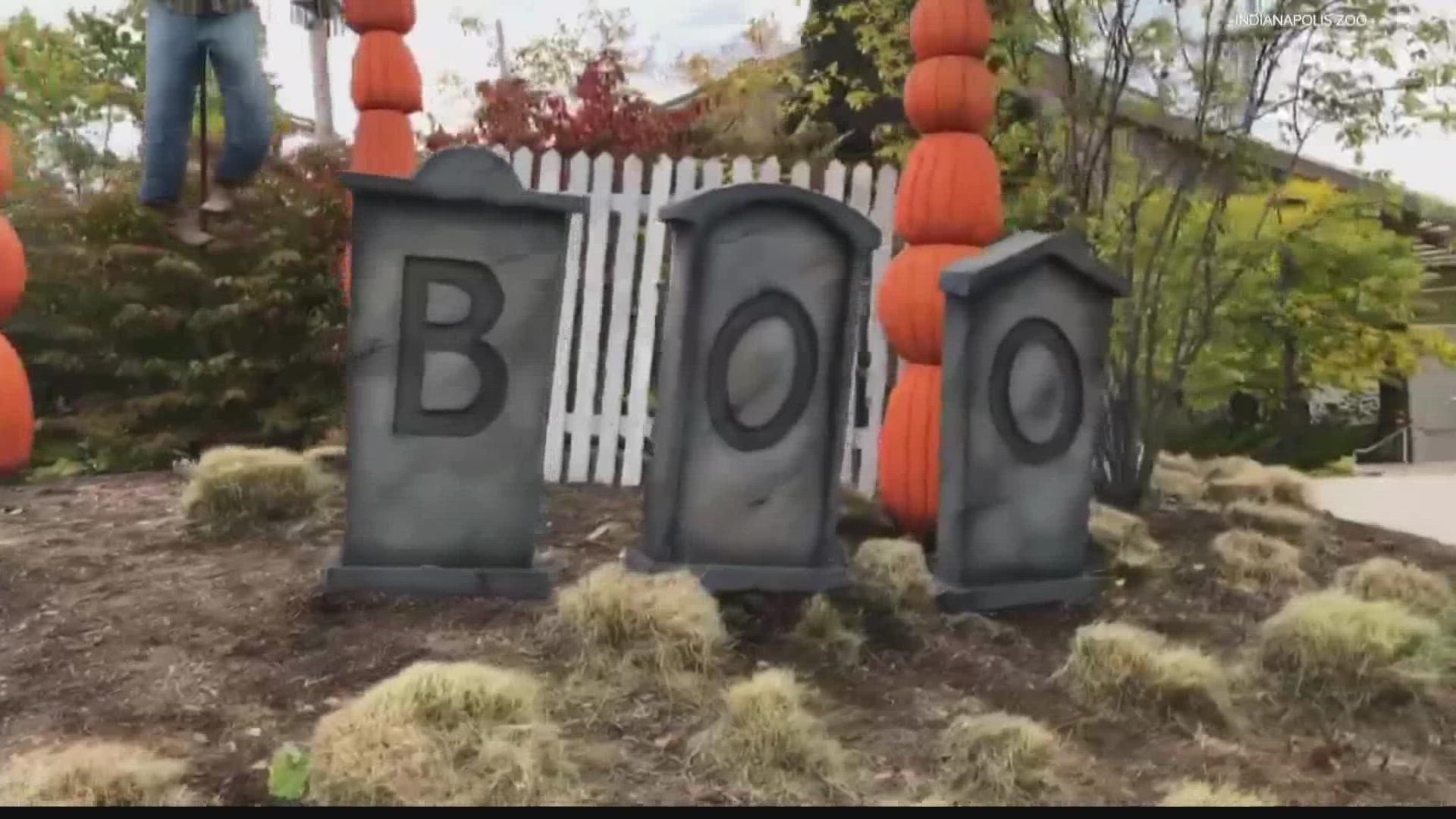 The Indianapolis Zoo has Halloween activities, a live DJ, spooktacular costumes and trick-or-treating.