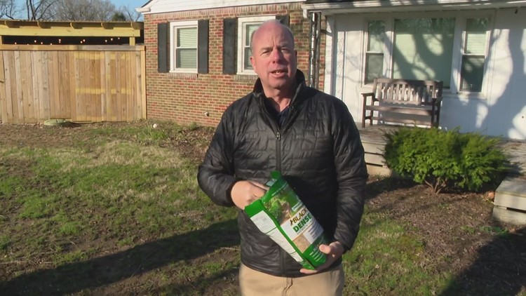Pat Sullivan on the proper way to plant grass seed