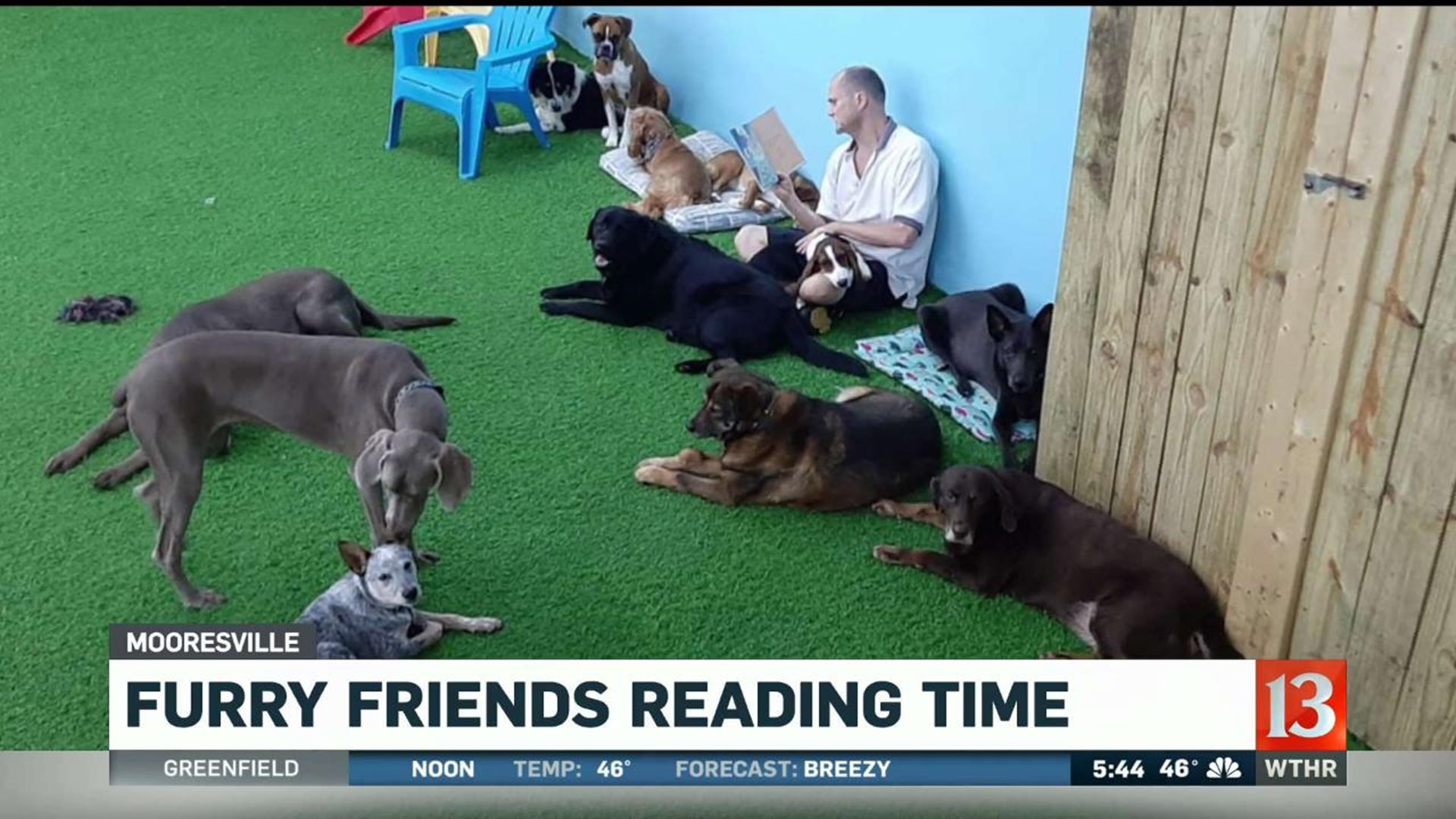 doggy night care near me