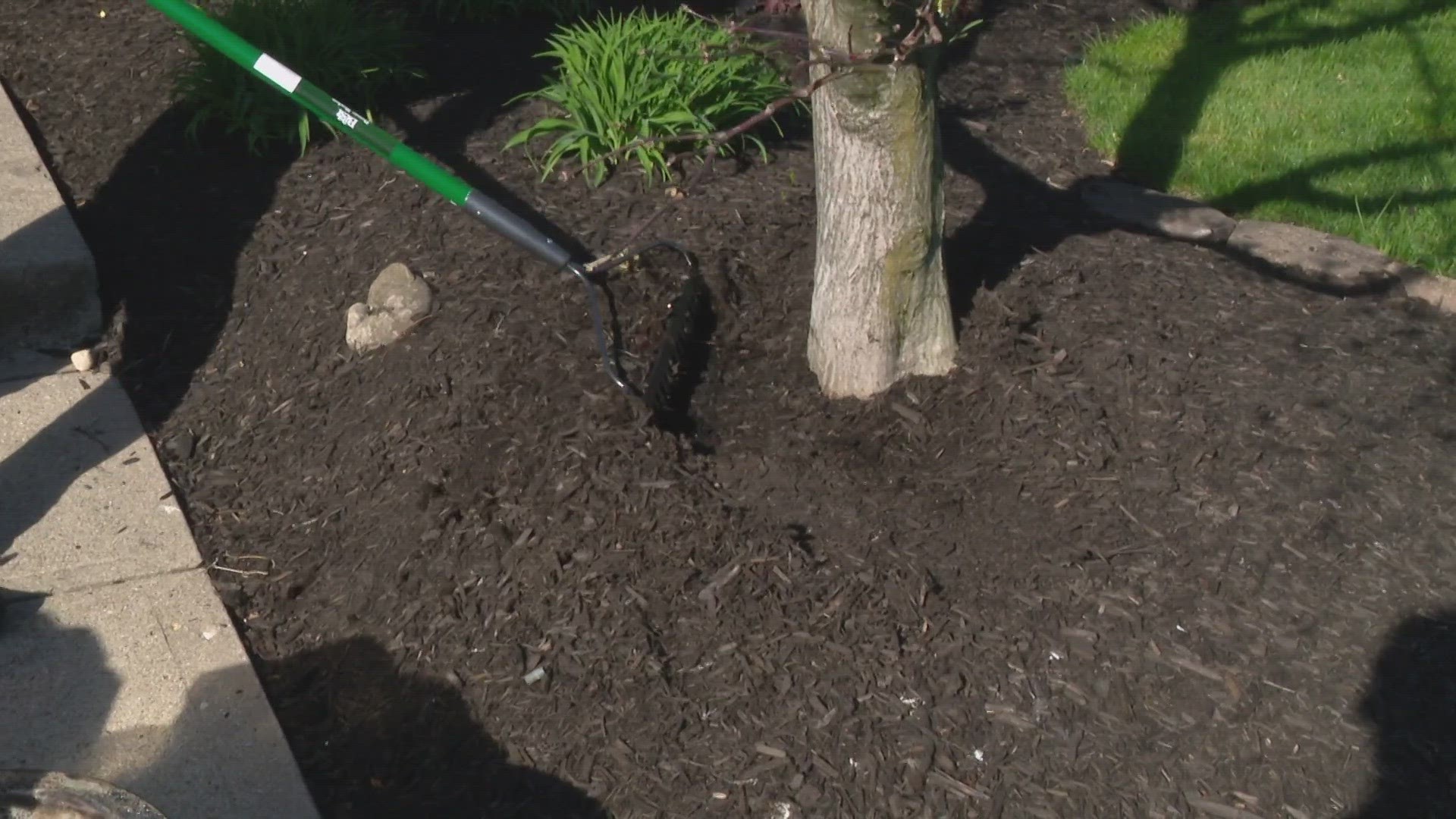 Before the window for garden planting opens up, you can take care of mulching around your landscape now.