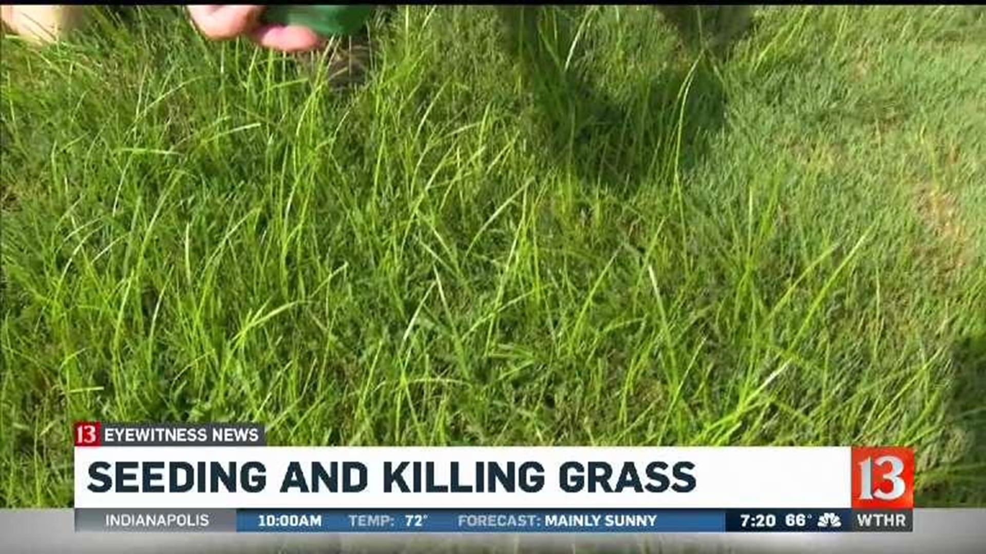 Pat Sullivan talks about preparing your lawn for the fall