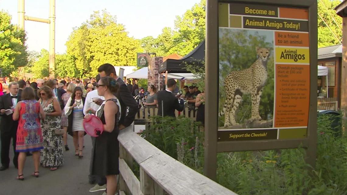 Zoobilation tickets go on sale Tuesday, Feb. 1