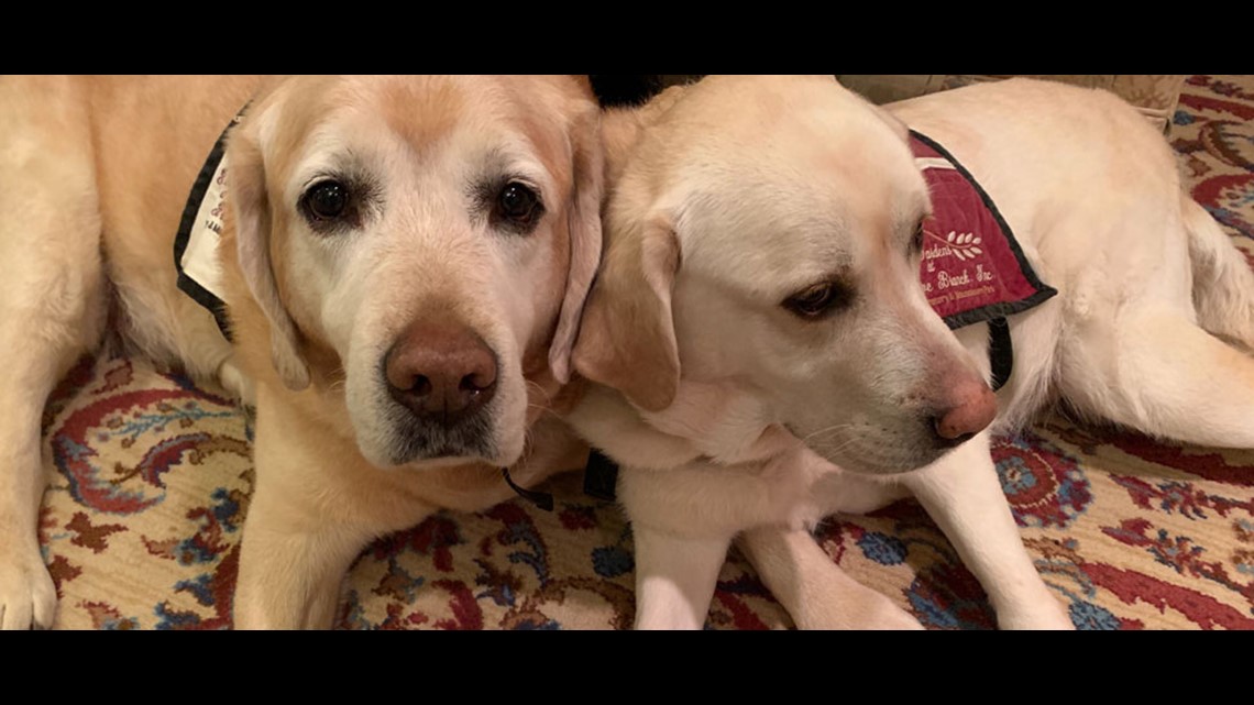 Dogs comfort grieving families at local funeral home