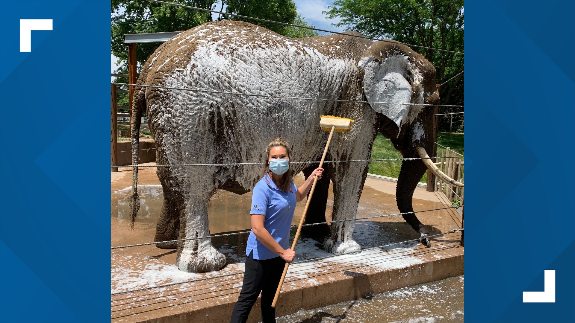 You can help bathe an elephant at the newest Indianapolis Zoo exhibit