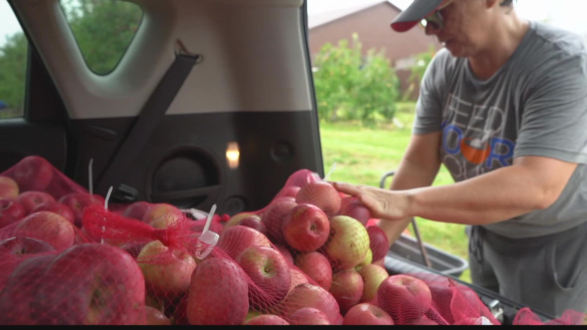 The Society of St. Andrews gleaned and donated over 4.1 million pounds of food.