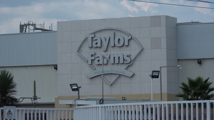 FDA inspects Taylor Farms facility as part of its investigation into the cyclosporiasis outbreak