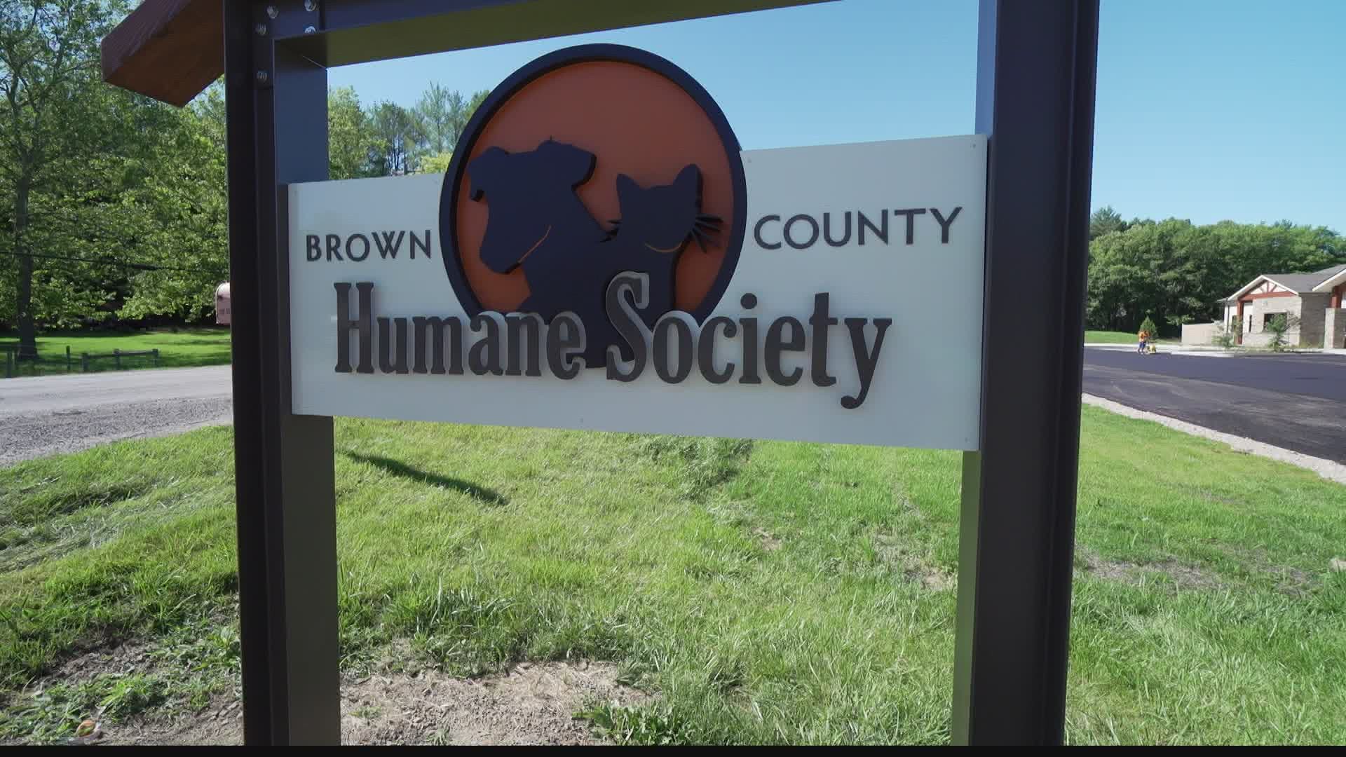 After serving the community out of a 4,000 square foot building for over 30 years, the Brown County Humane Society just moved into a brand new facility.