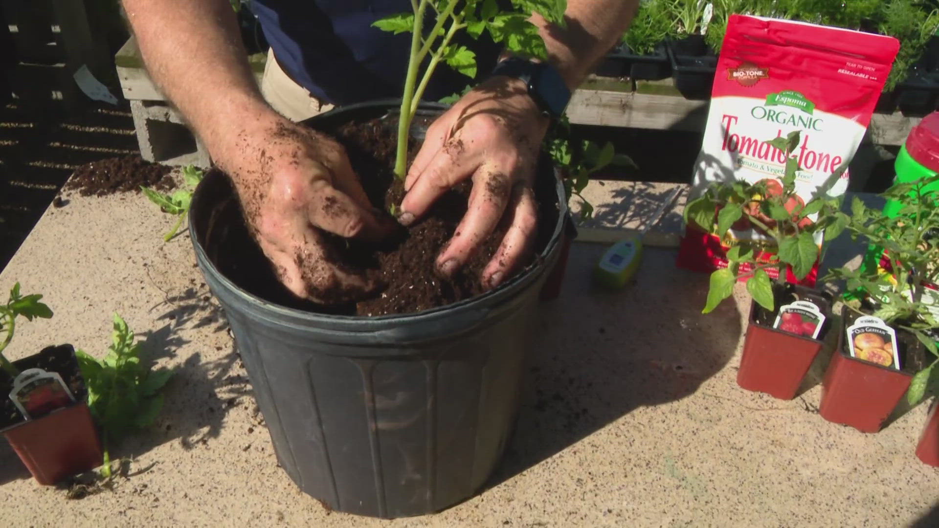 Every Sunday, Pat Sullivan stops by WTHR 13News to share his advice on home gardening.