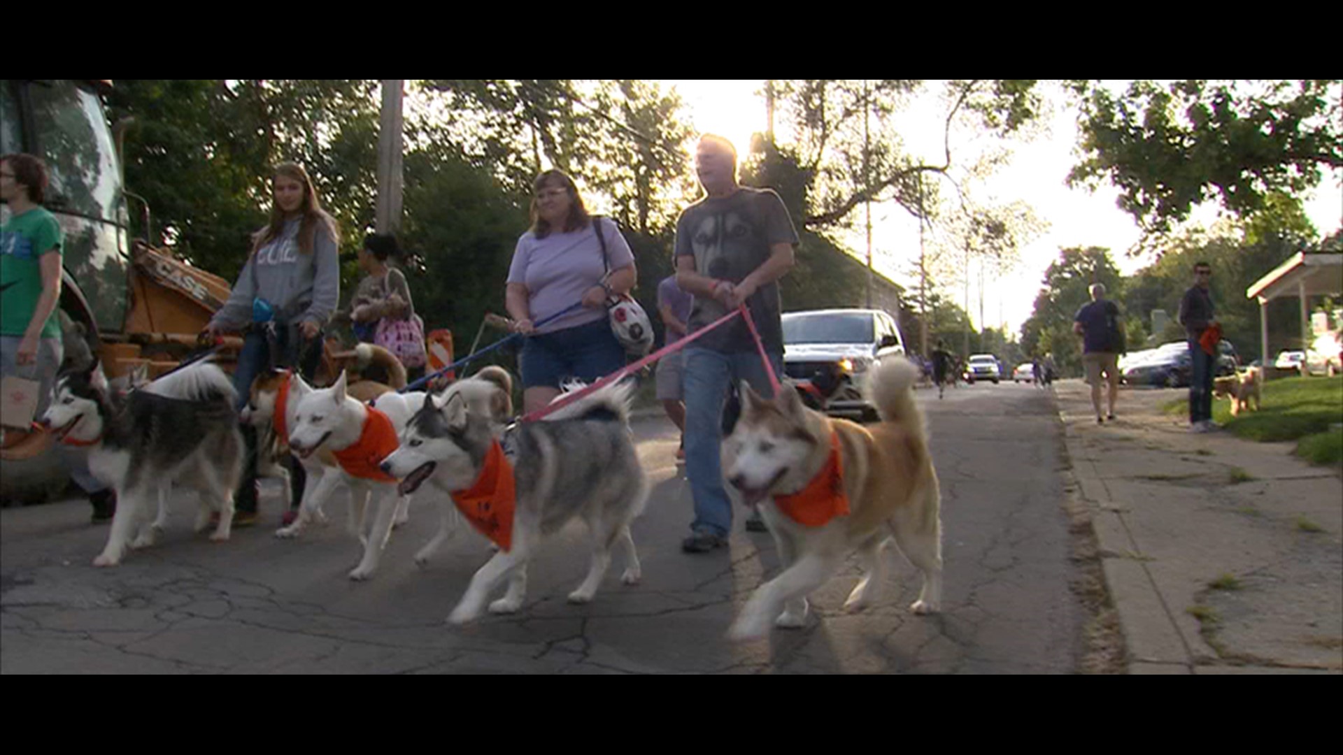 Hundreds gather for Broad Ripple Dog Walk | wthr.com