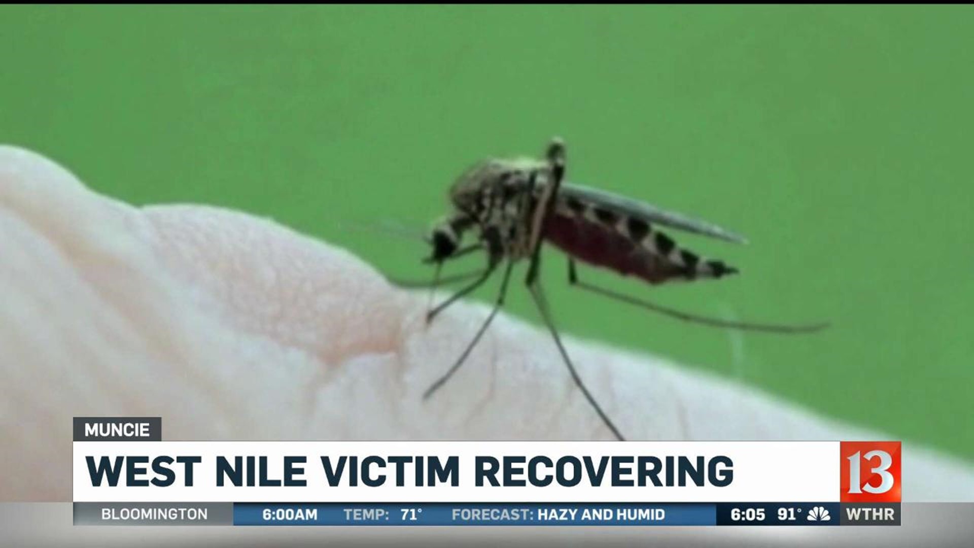 West Nile cases confirmed
