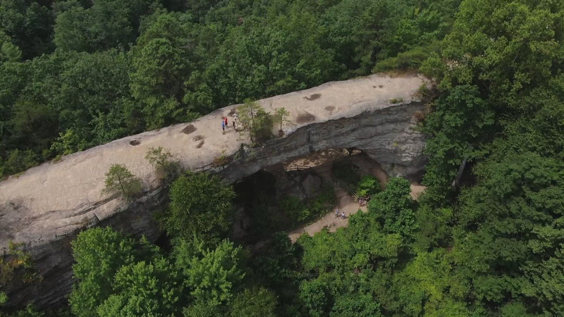 Chuck Lofton finds a way to see Red River Gorge from above and below the destination.