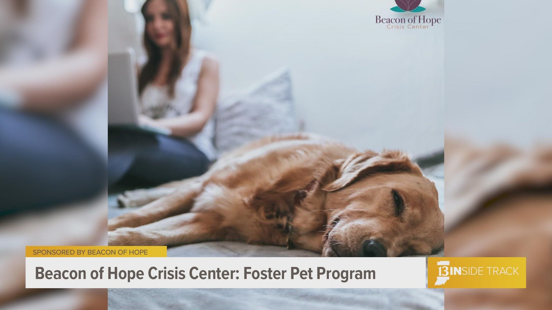 Abusers can use pets to keep victims trapped. A pet foster program from Beacon of Hope can help victims of domestic violence escape.
