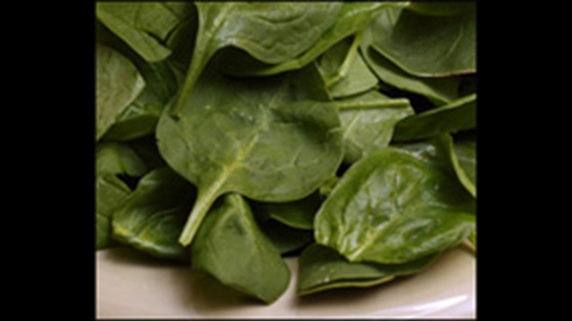 Spinach recall sparks oversight calls