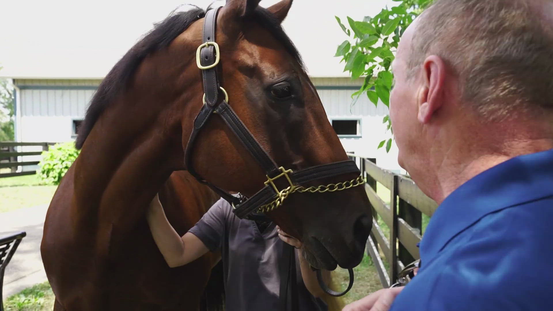 Central Kentucky is the horse capital of the world. The sport is headquartered and the champions are bred there.