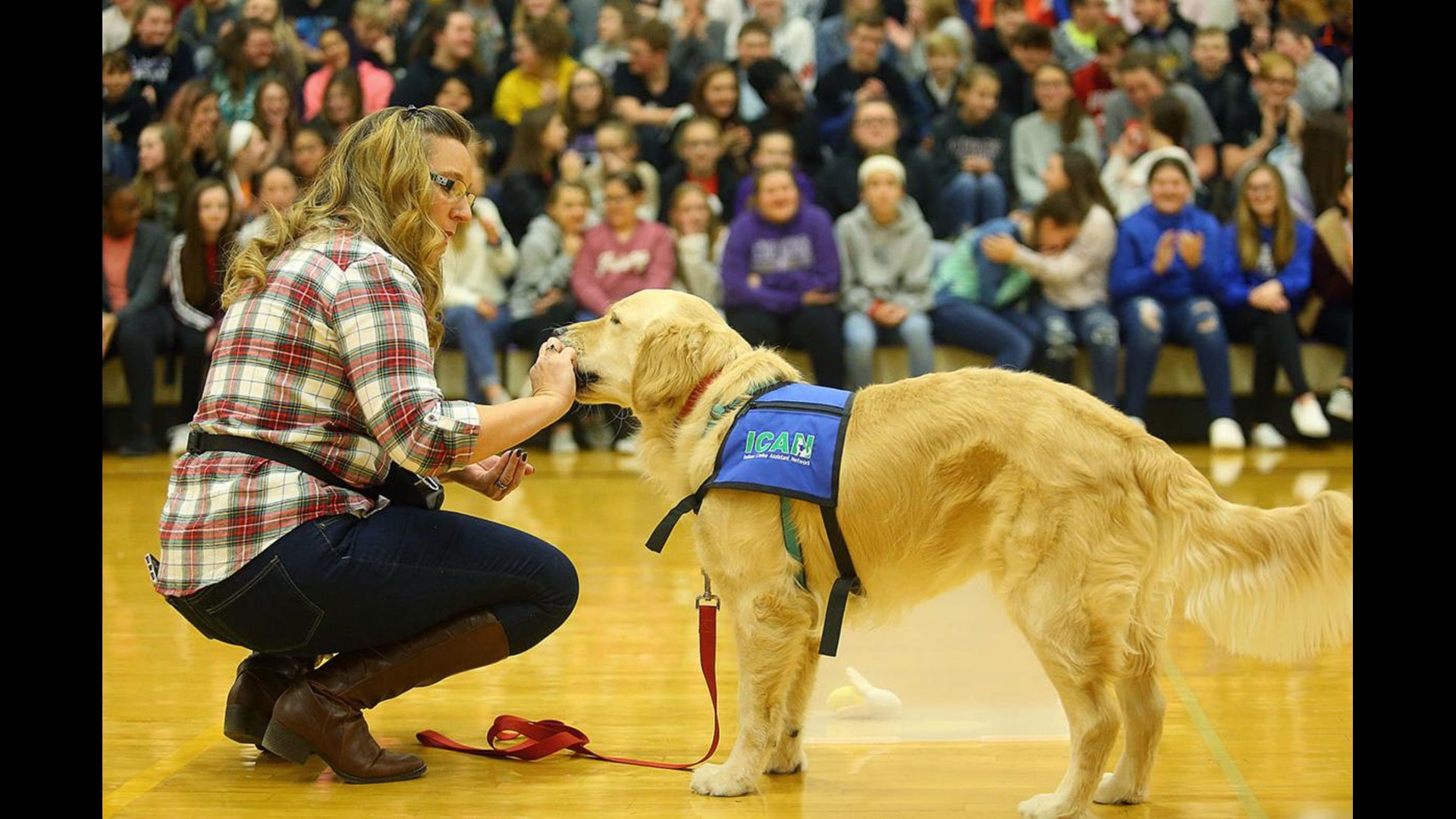 Kokomo middle school gets facility dog to benefit students | wthr.com