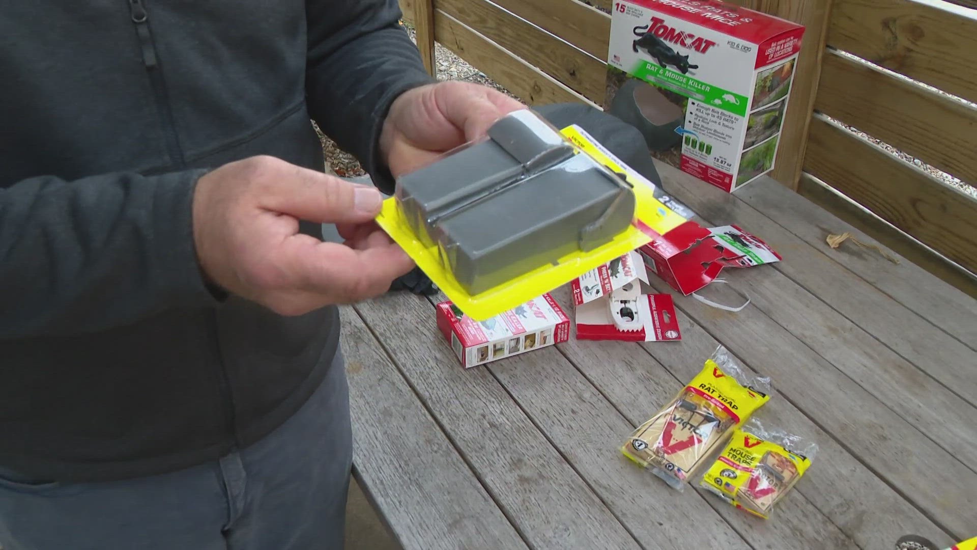 5 Tips For Setting Mousetraps Properly