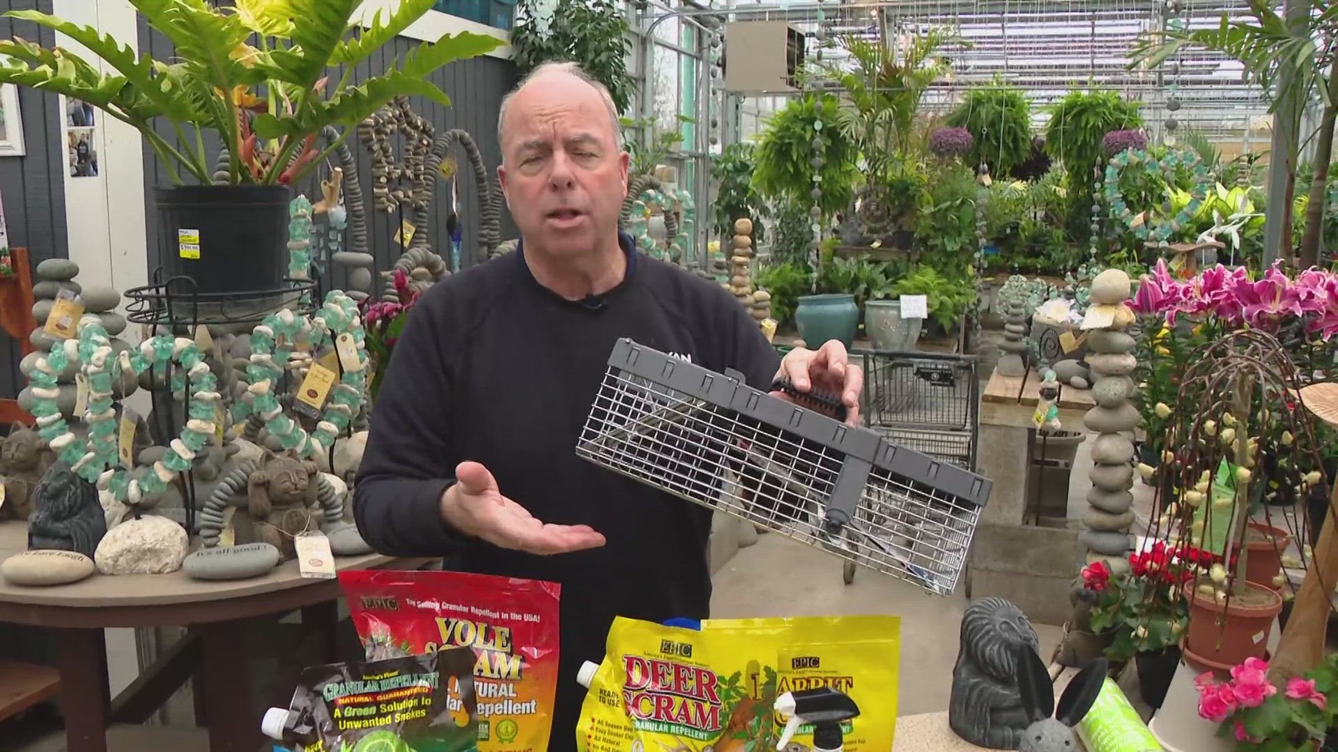 Pat Sullivan has advice on how to deal with animals damaging your garden and lawn plus more spring gardening tips!