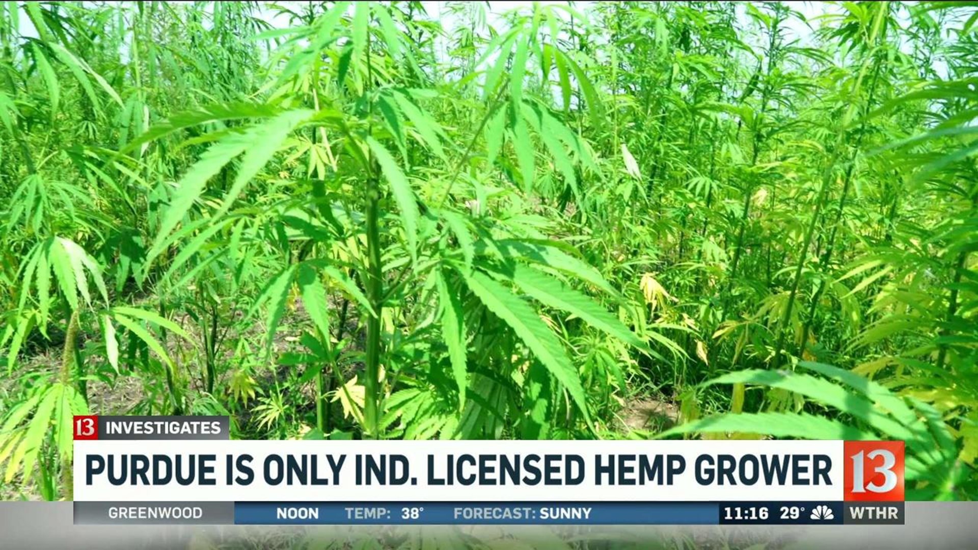 CBD oil business is booming in Kentucky