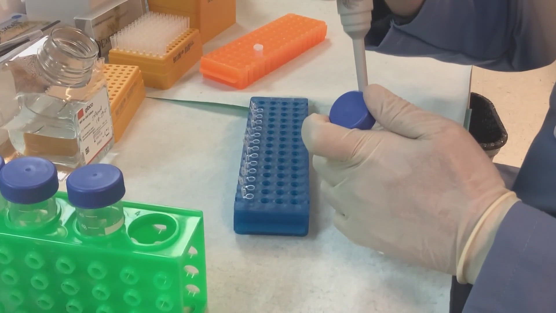 At one point, lawmakers were going to invest millions of dollars in ending the rape kit backlog. But then they needed to make big cuts to the state budget.

