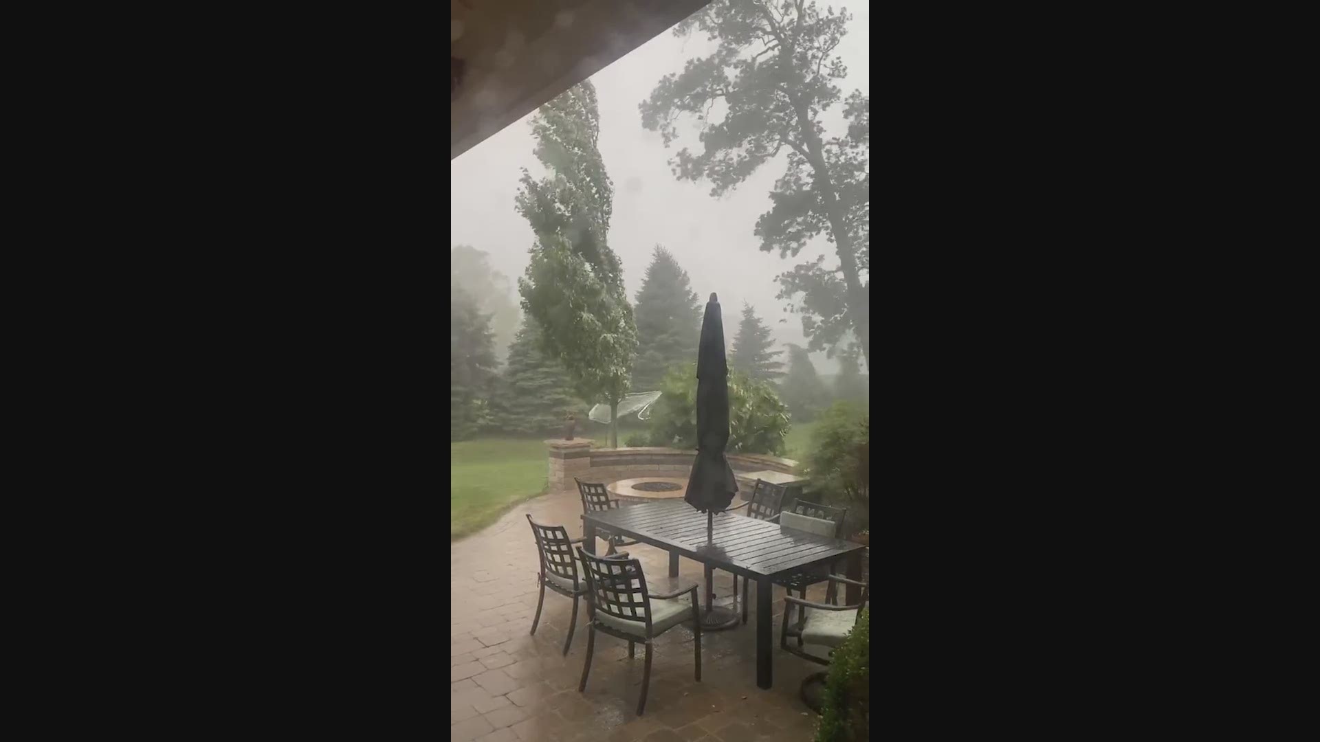 A large tree coming down in Fishers, Indiana during storms on June 18, 2021. Video courtesy: Emily D