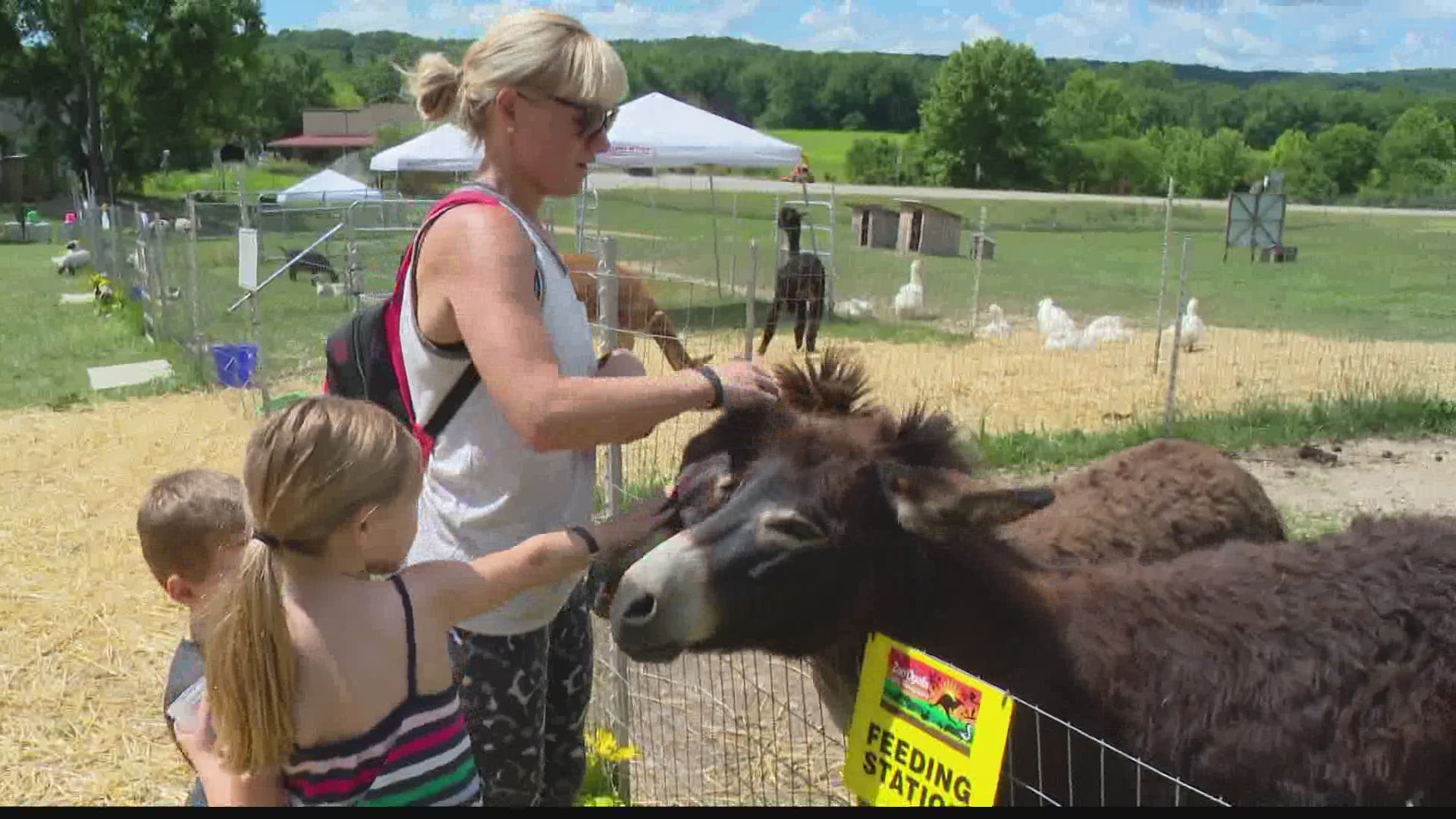 Zoo'Opolis in Nashville, Indiana has a hands-on approach to teaching kids about animals.