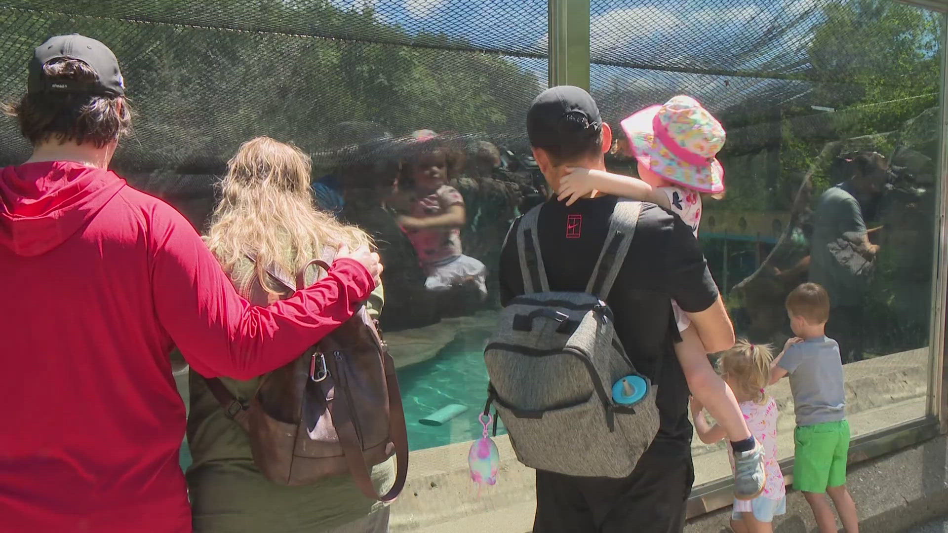 The Indianapolis Zoo posted the announcement on social media Wednesday.