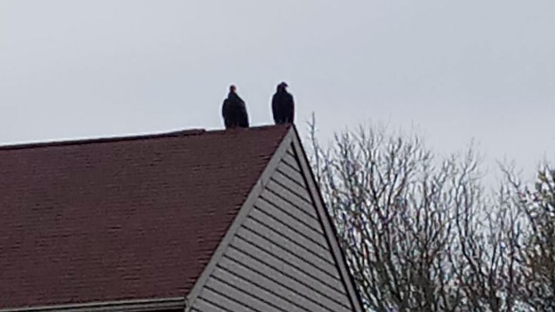 Carmel High School marching band to perform in 2022 Macy's Thanksgiving Day Parade