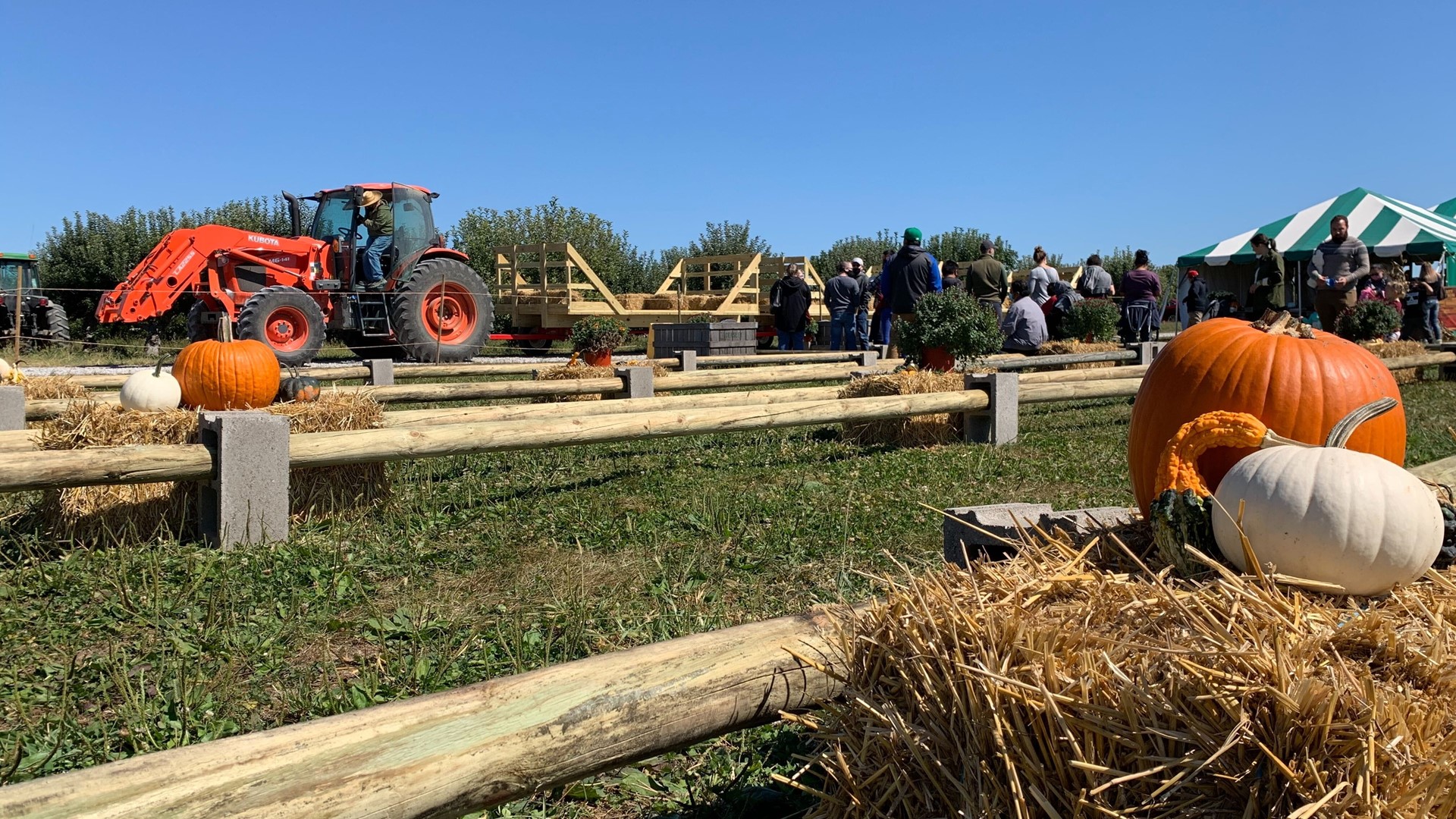 Beasley's Orchard opened for the fall festival.