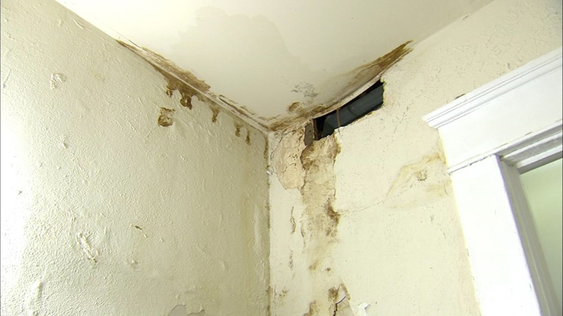 Dilapidated apartments on Meridian St. get dramatic makeover