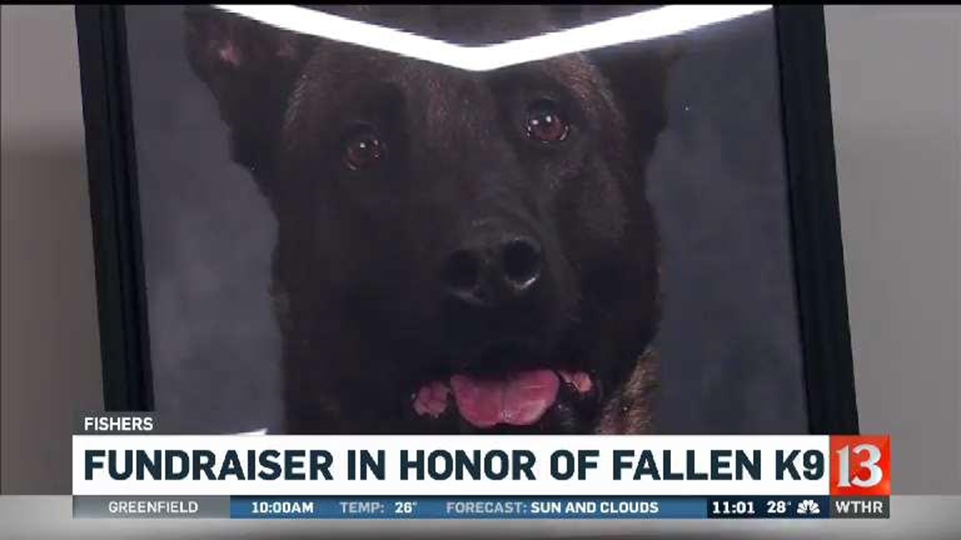 Handler remembers fallen K9 partner