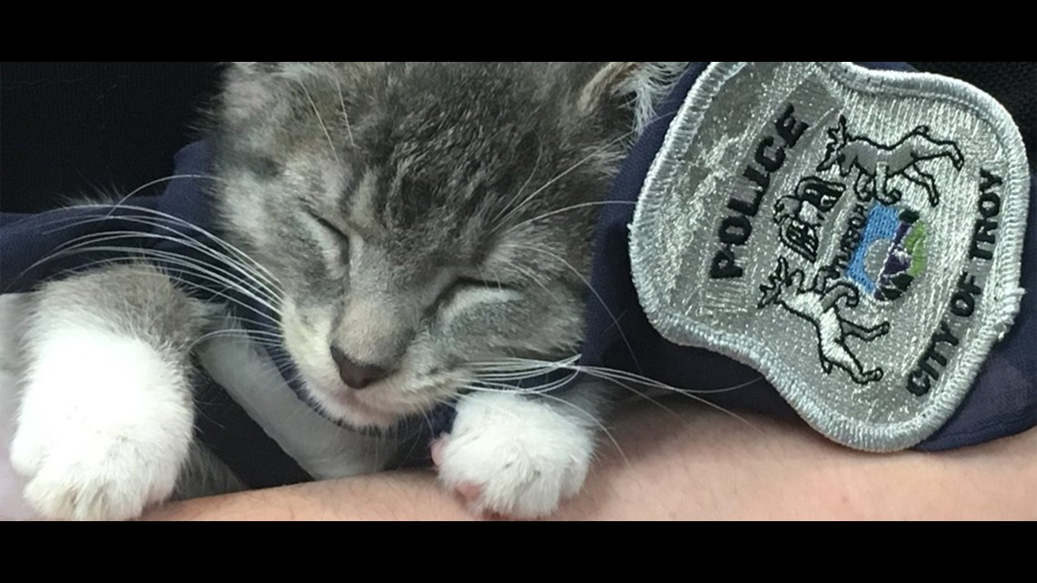 Michigan police department picks Pawfficer to join force, News