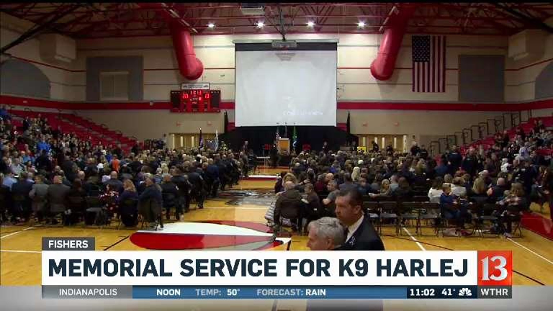 K-9 Harley awarded medals for valor