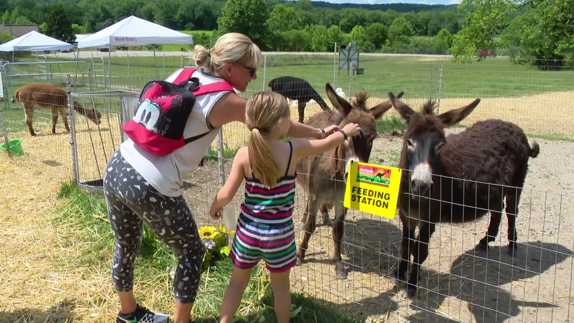 An exotic animal sanctuary in Nashville has reopened