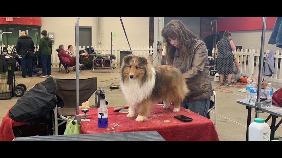 Winter Classic Dog Show wrapping up Sunday