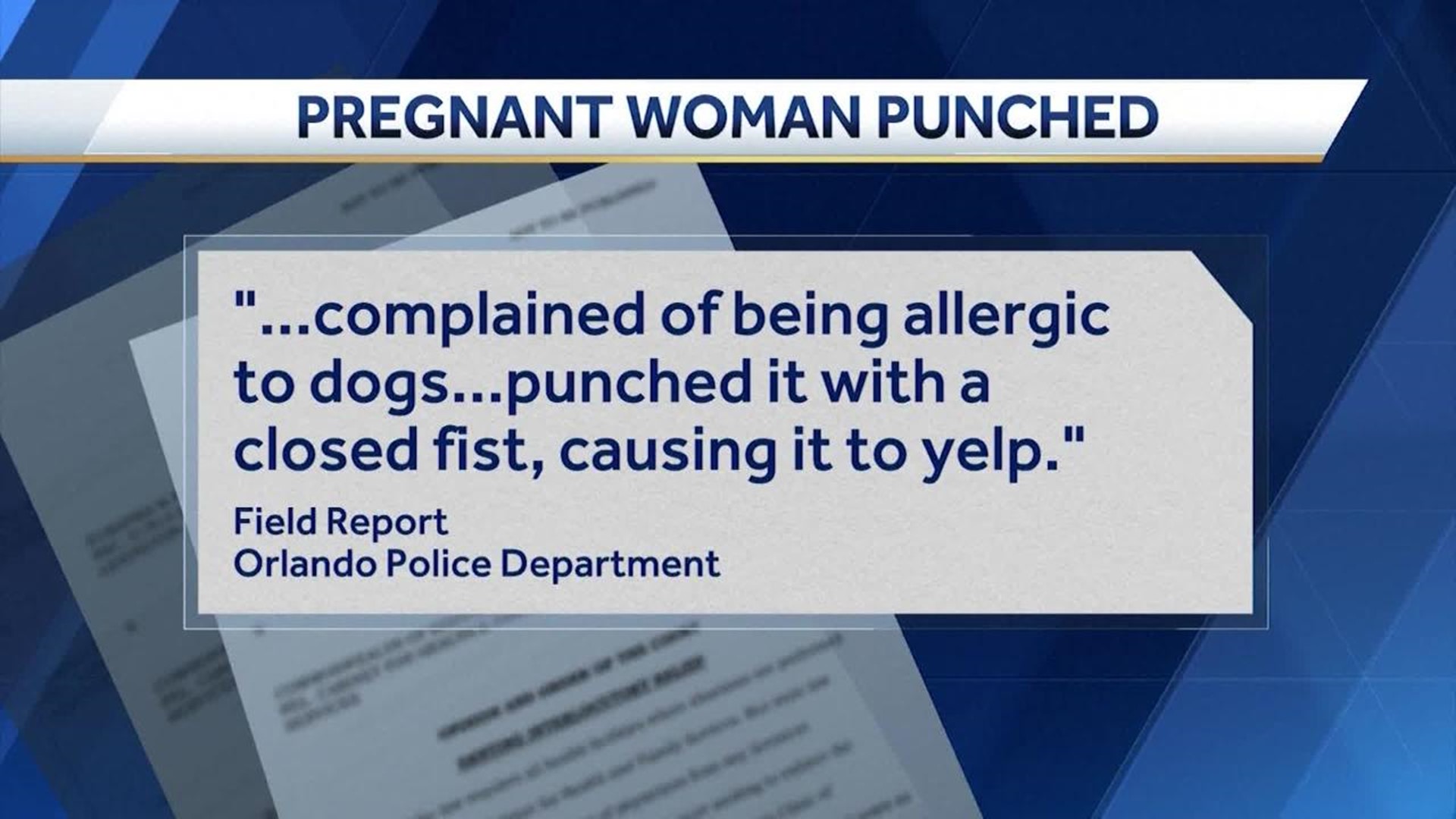 woman and dog punched on flight