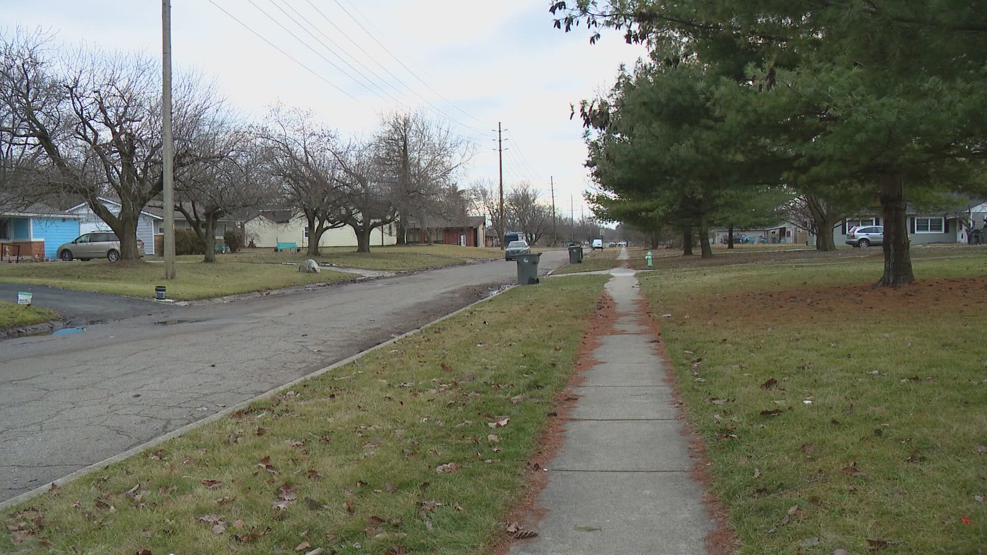 The 64-year-old man was attacked by two dogs near 21st & Kitley.