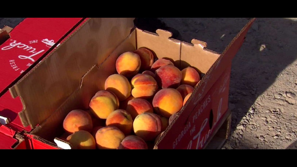 Peach Truck returning to Indiana with one of its best crops yet