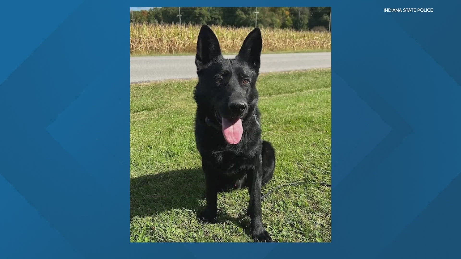 An Indiana State Police K-9 will soon have extra protection when responding to calls.