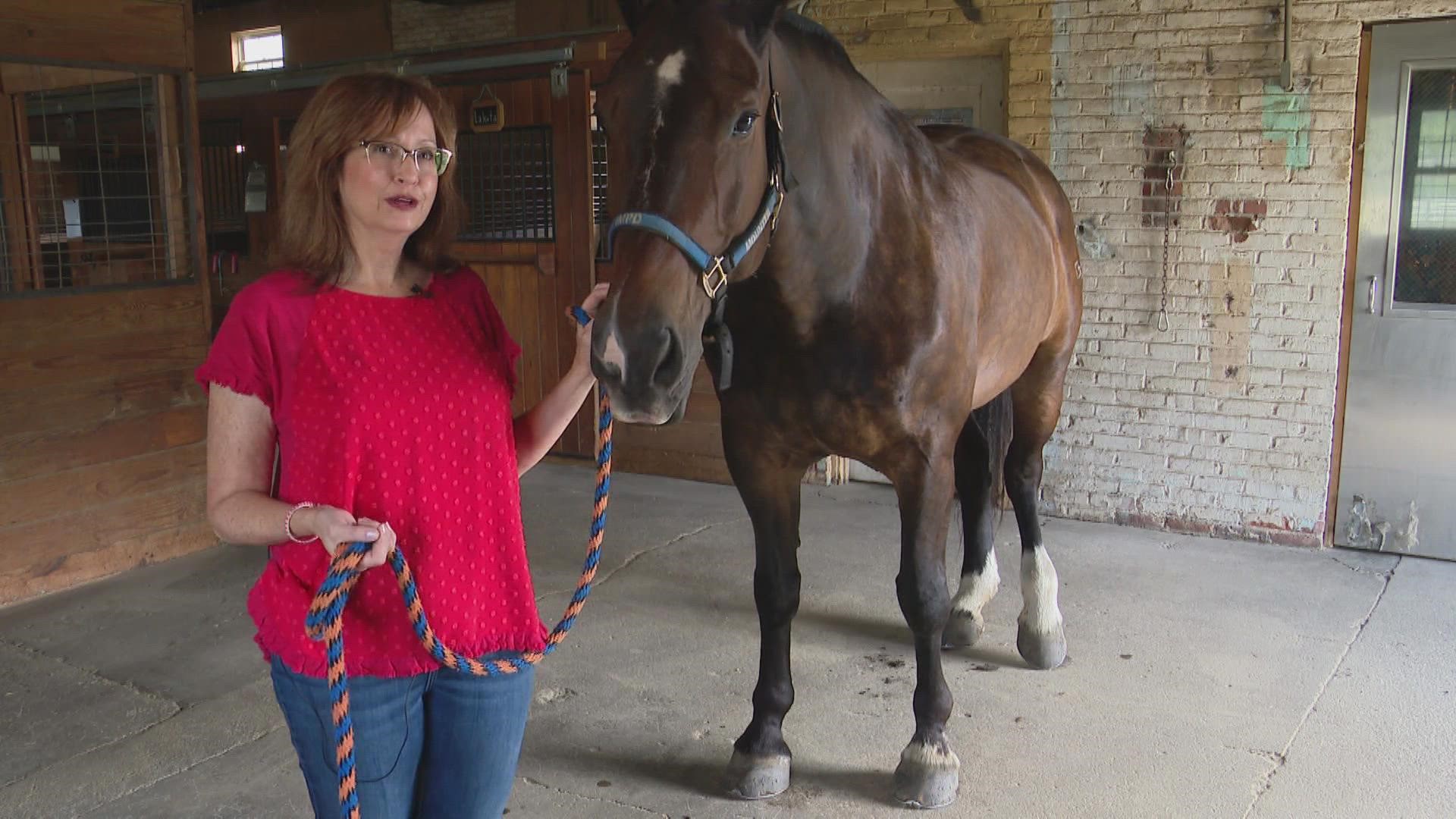 IMPD's Mounted Patrol will soon be without a headquarters. John Doran tells us how this police division is looking for donations to build a new home.