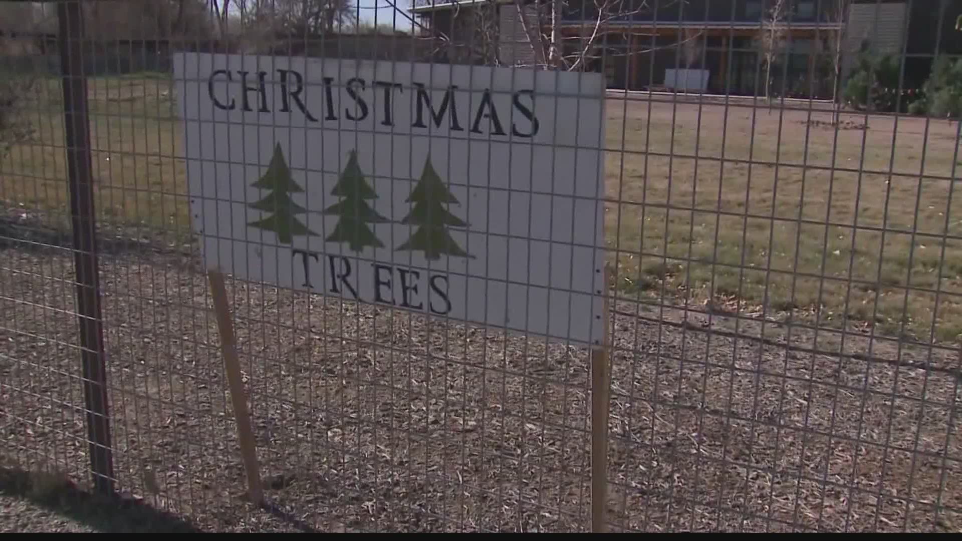 A tree farm in New Mexico is making it a little easier for folks to celebrate the holidays during these difficult times.