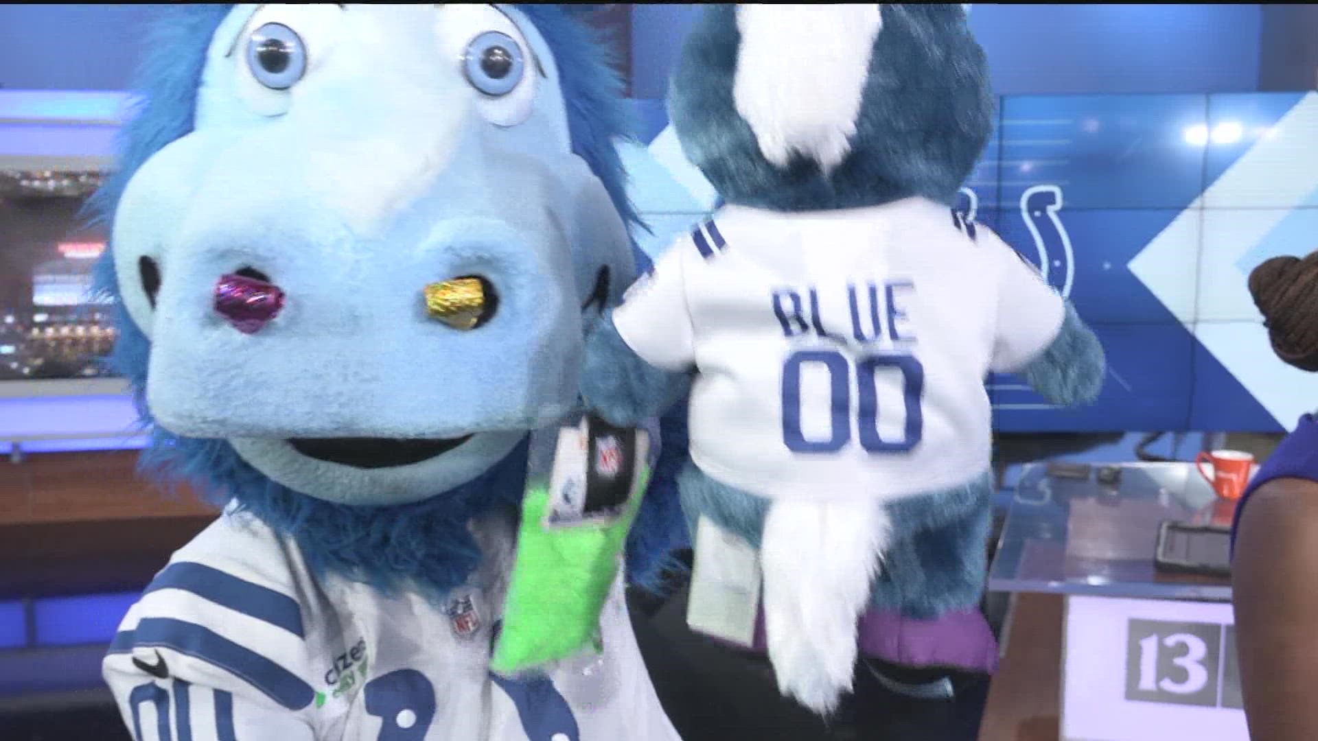 Blue joined the 13Sunrise crew to showcase a new Build-A-Bear and assist with Kelly's forecast!