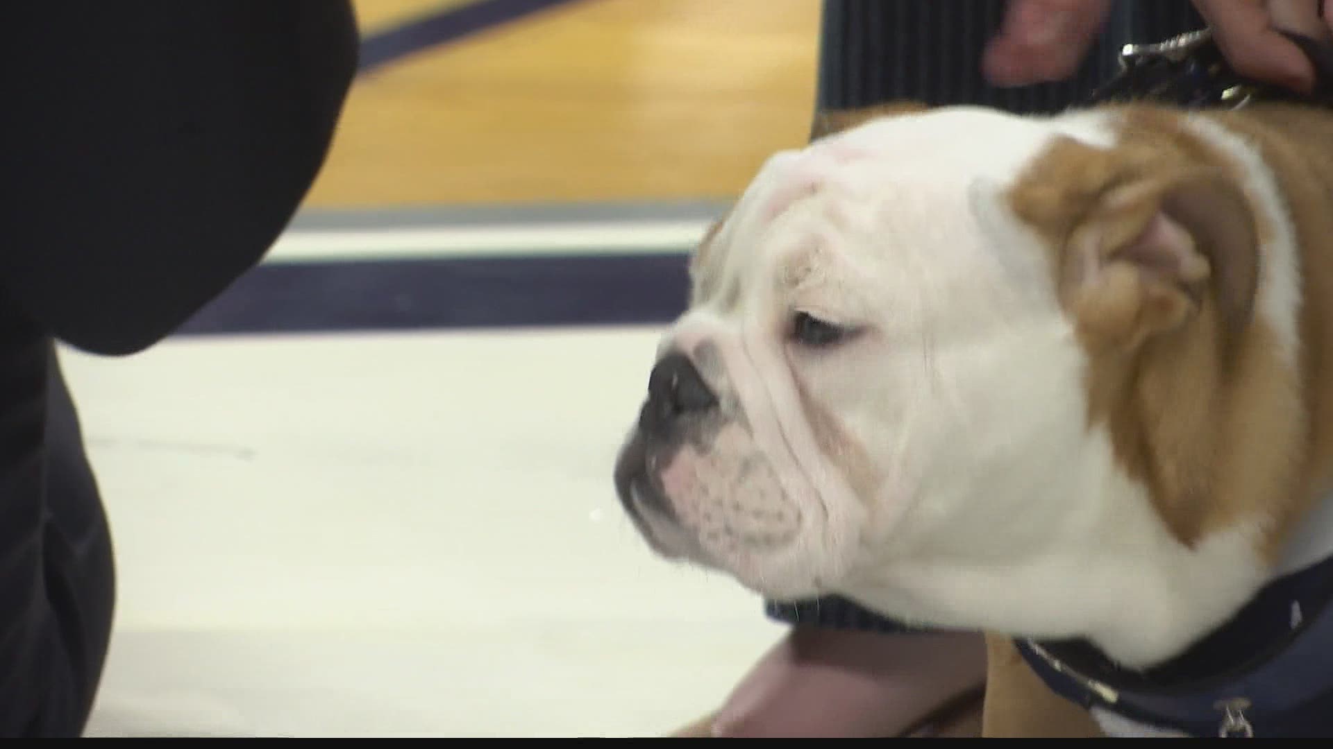 The new season of "Dogs" premieres on July 7th and there will be an entire hour-long episode dedicated to the changing of the collar when Butler Blue III retired.