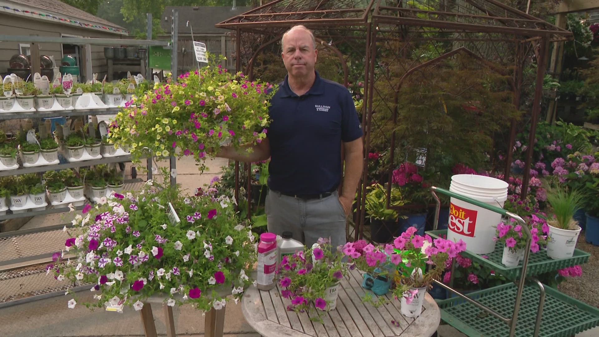 Pat Sullivan from Sullivan Hardware and Garden shares tips on safely cutting back your plants so they don't become overgrown.