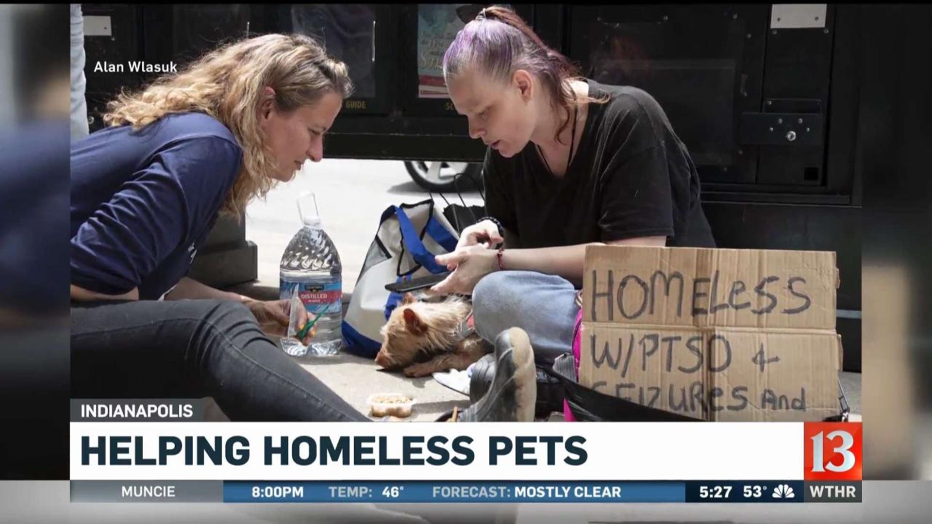 Helping homeless pets