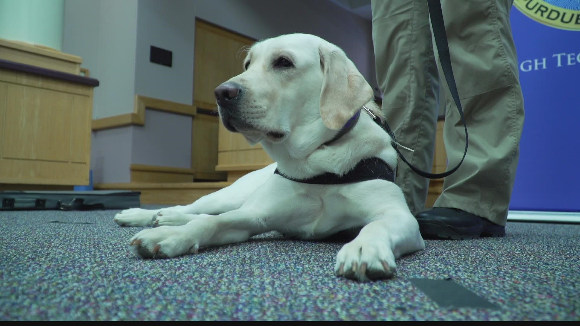 Roger works with a high tech crime unit forensic investigator.