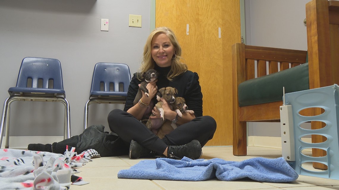 Volunteers step up at Humane Society for Boone County - Vimarsana News